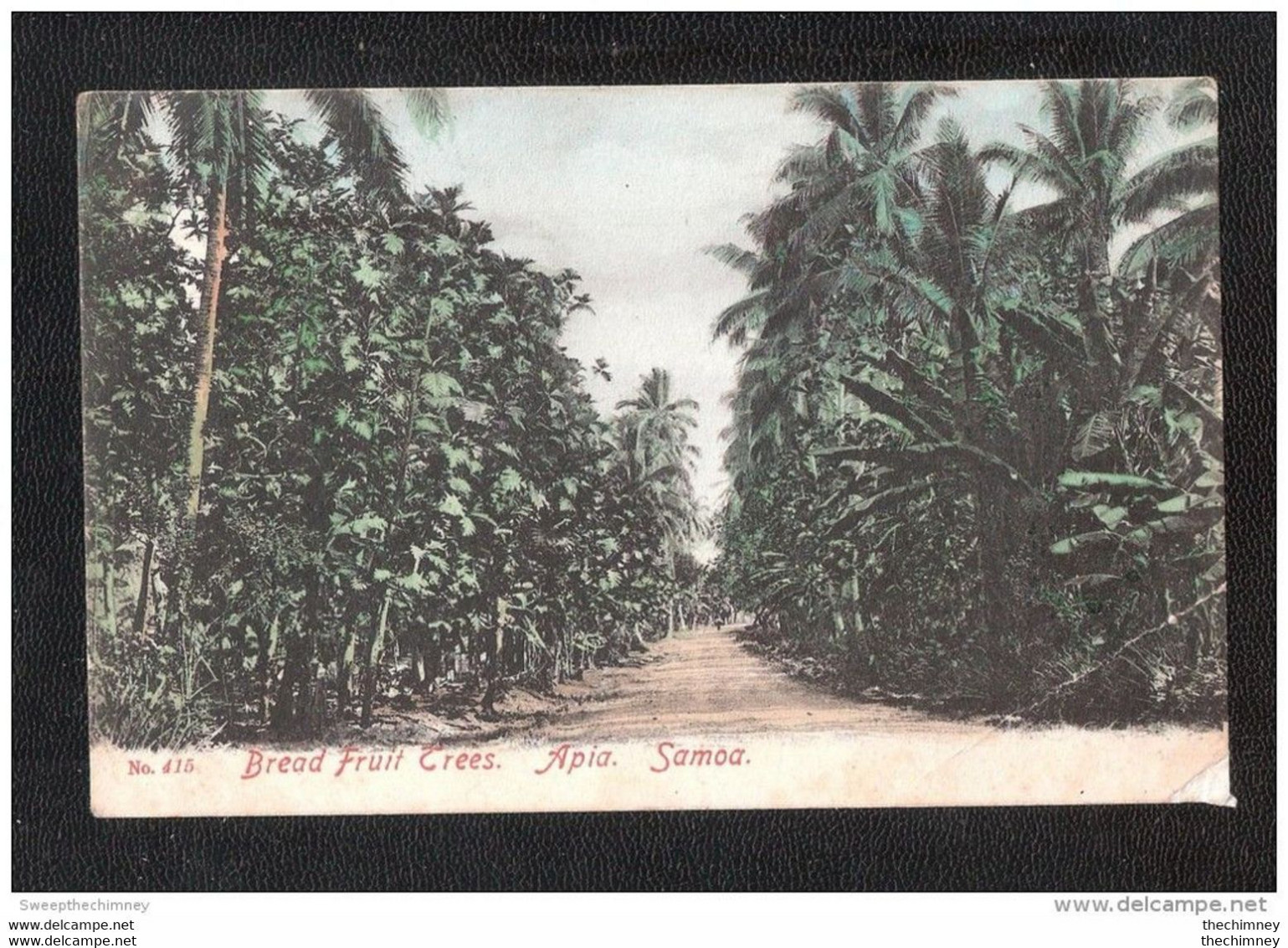 Océanie îles Samoa Apia Dos Simple BREAD FRUIT TREES APIA SAMOA USED 1907 FT SERIES No.415 - Samoa