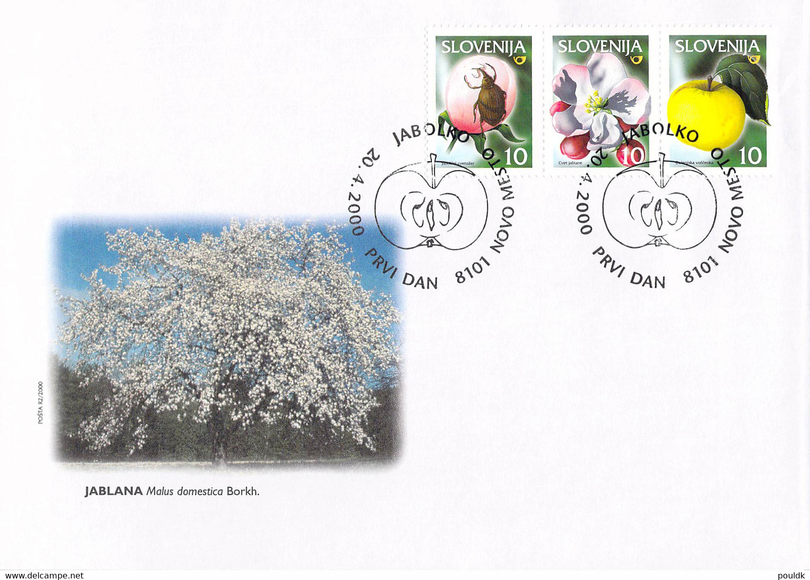 Slovenia FDC 2000 Fruits (DD26-12) - Fruit