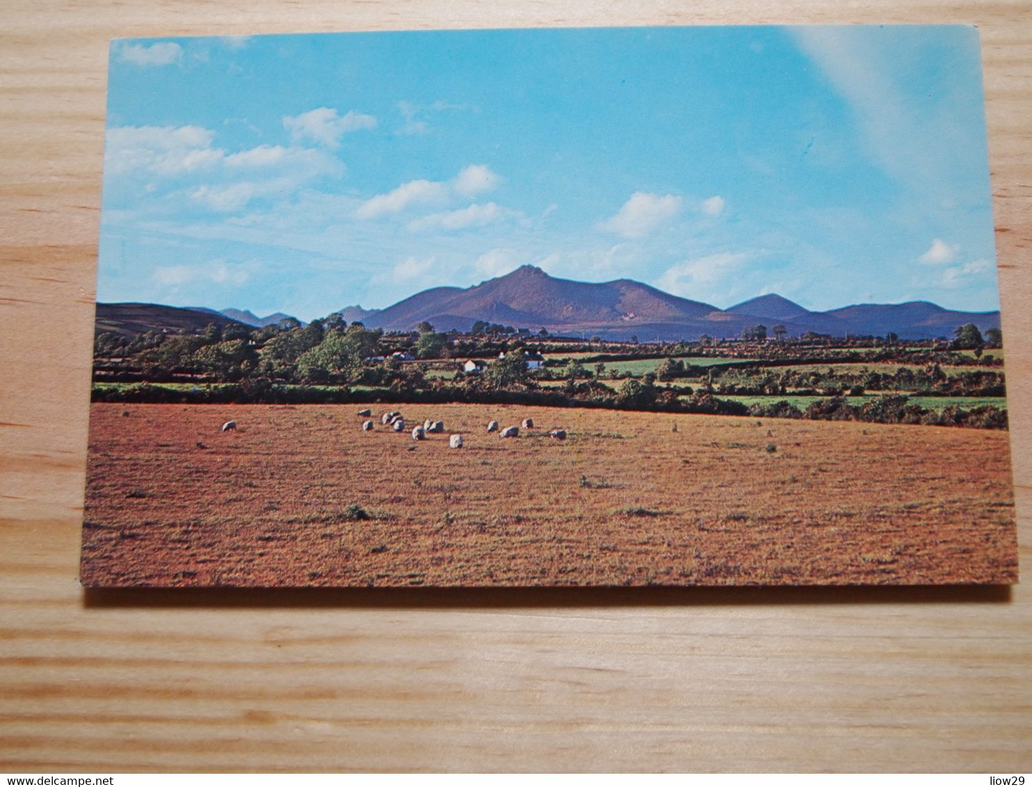 CPA Irlande Du Nord Mountains Of Mourne - Down