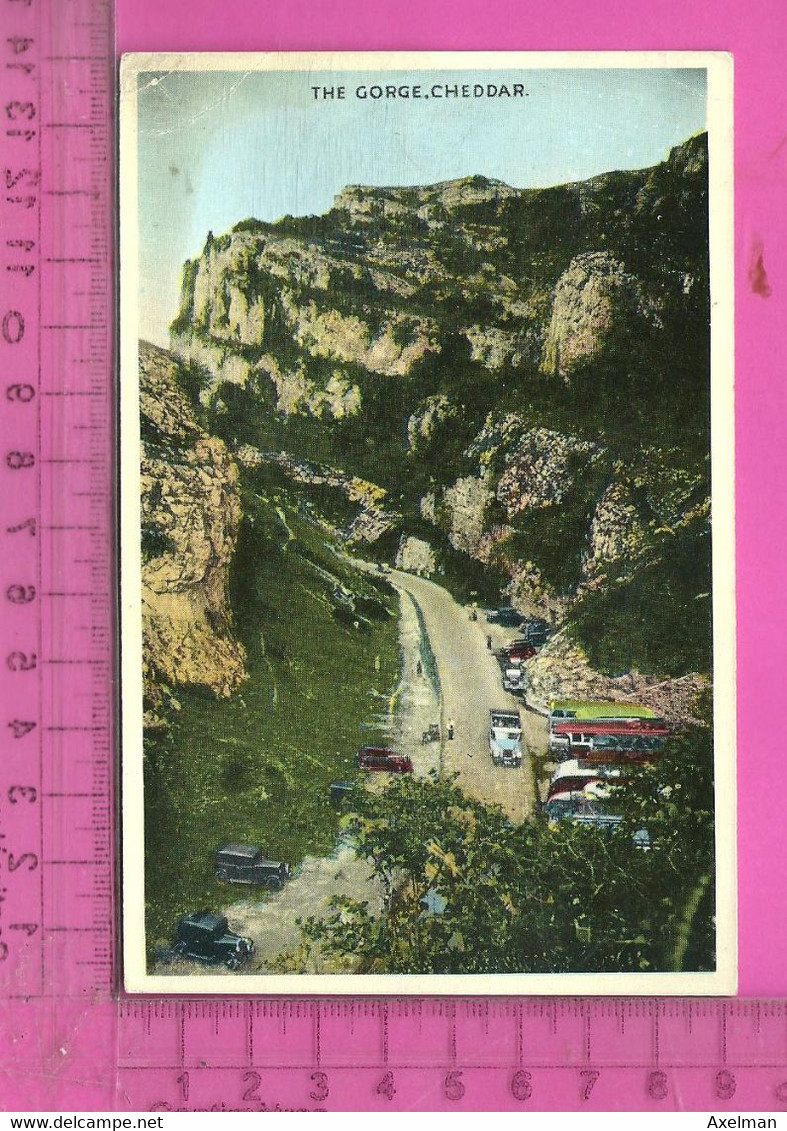 CPM  ROYAUME UNI, ANGLETERRE, SOMERSET, CHEDDAR : The Gorge - Cheddar