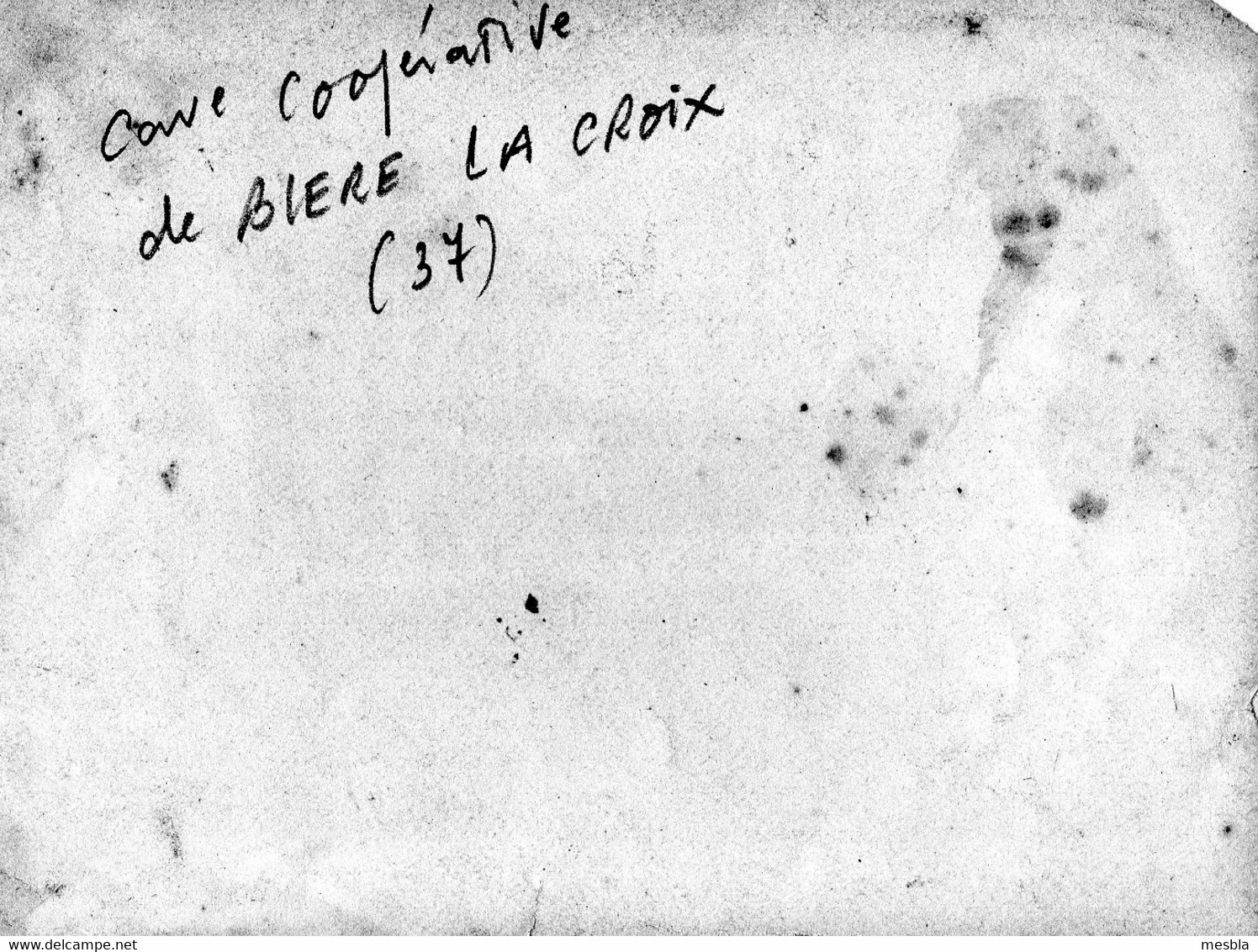 PHOTO ANCIENNE -  CAVE COOPERATIVE DE LA CROIX - 1931  -  BLERE  LA  CROIX  (37)    Attelage. - Places