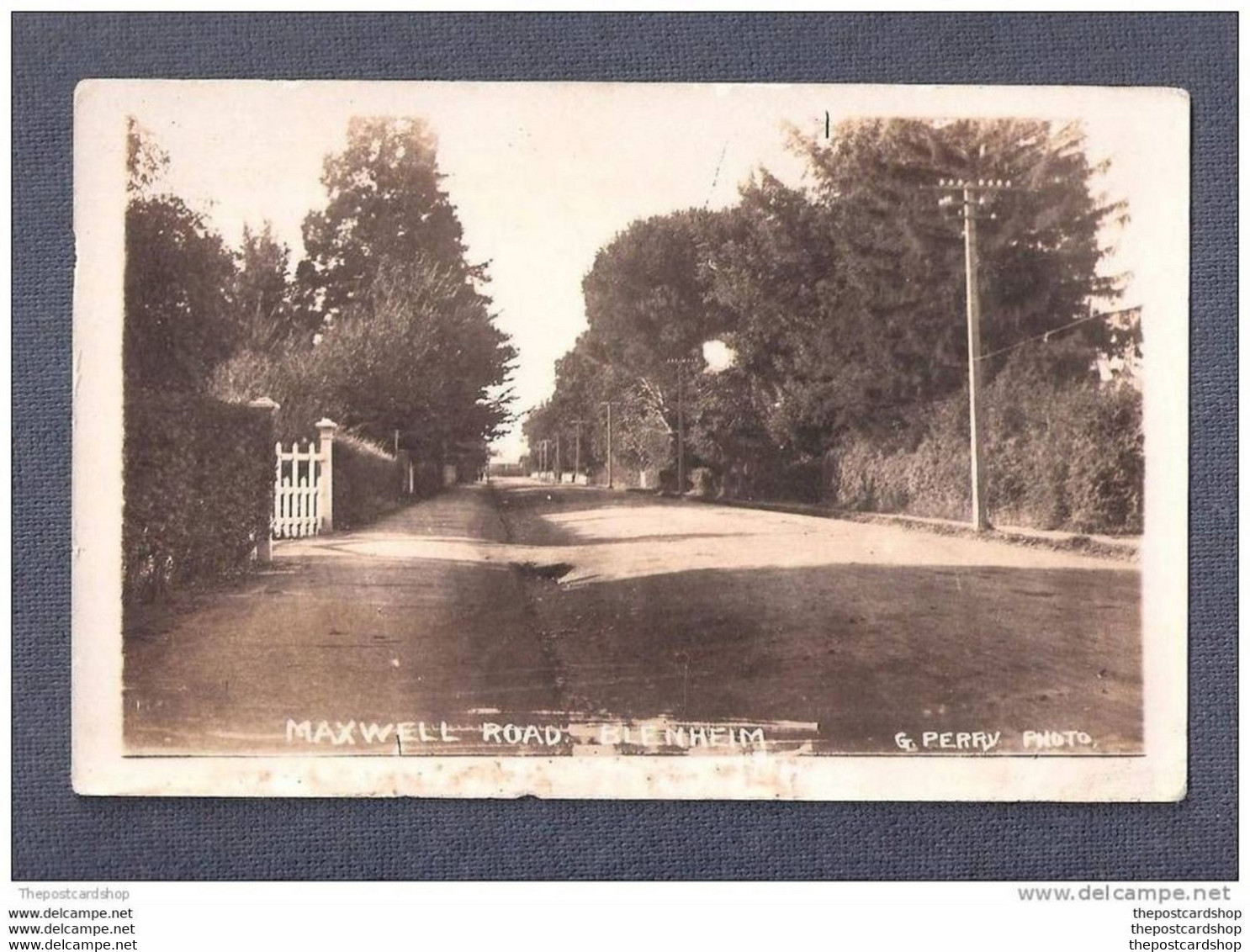 RP AUSTRALIA MAXWELL ROAD Blenheim Queensland G PERRY PHOTO PLAIN BACK - Other & Unclassified