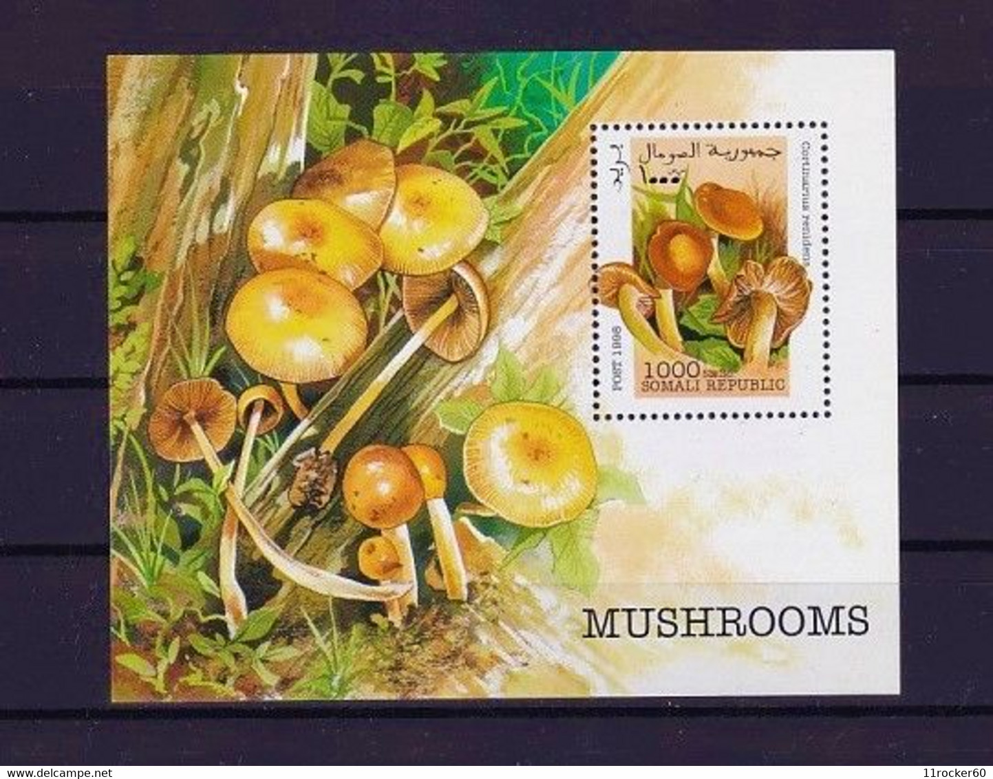 Somalia 1998 - Briefmarken Block Pilze MNH ** - Mushrooms