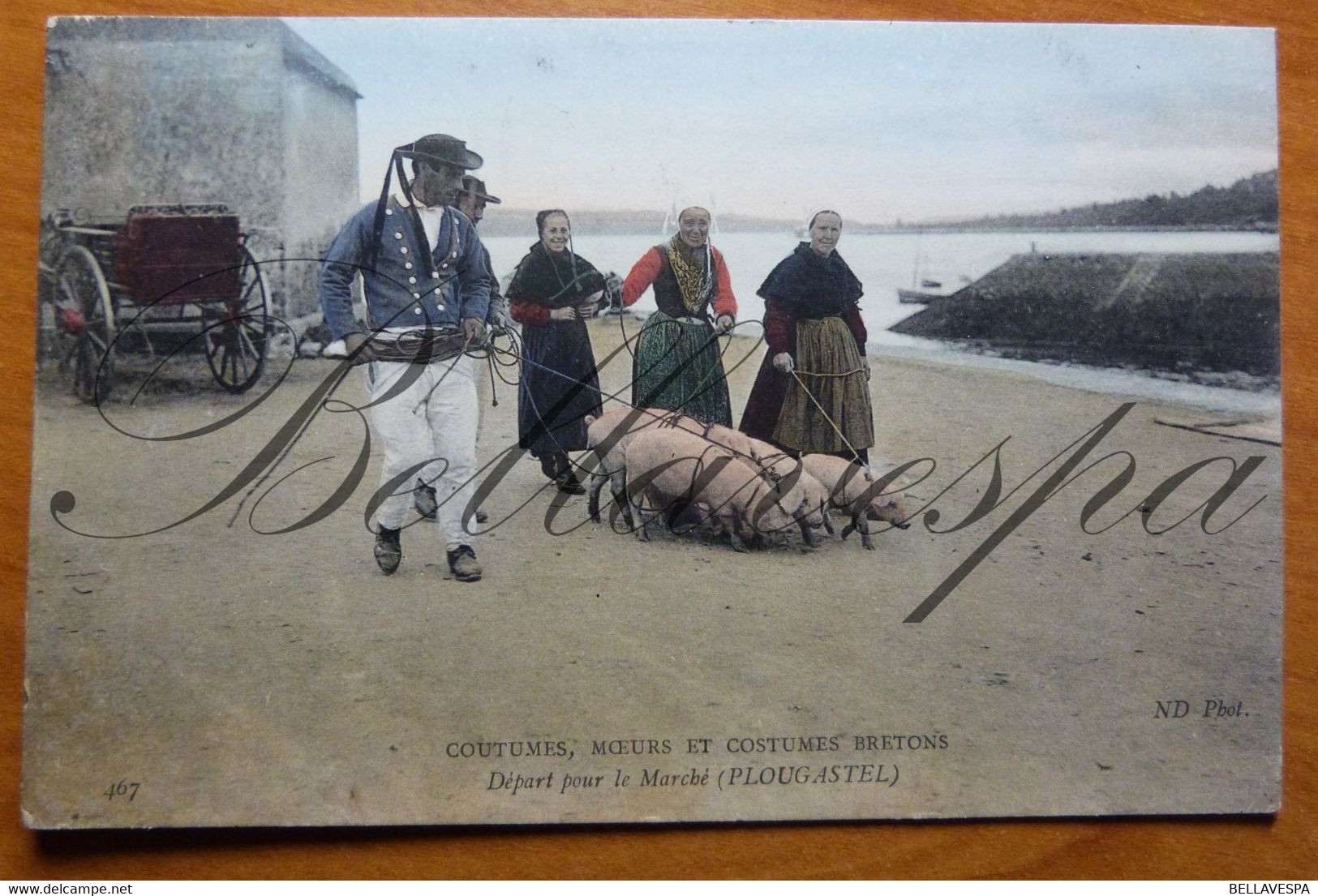 Plougastel D29 Coutumes Moeurs Bretons.  Départ Pour La Marche. Cochon Sangliers Varken Big N°467 - Campesinos