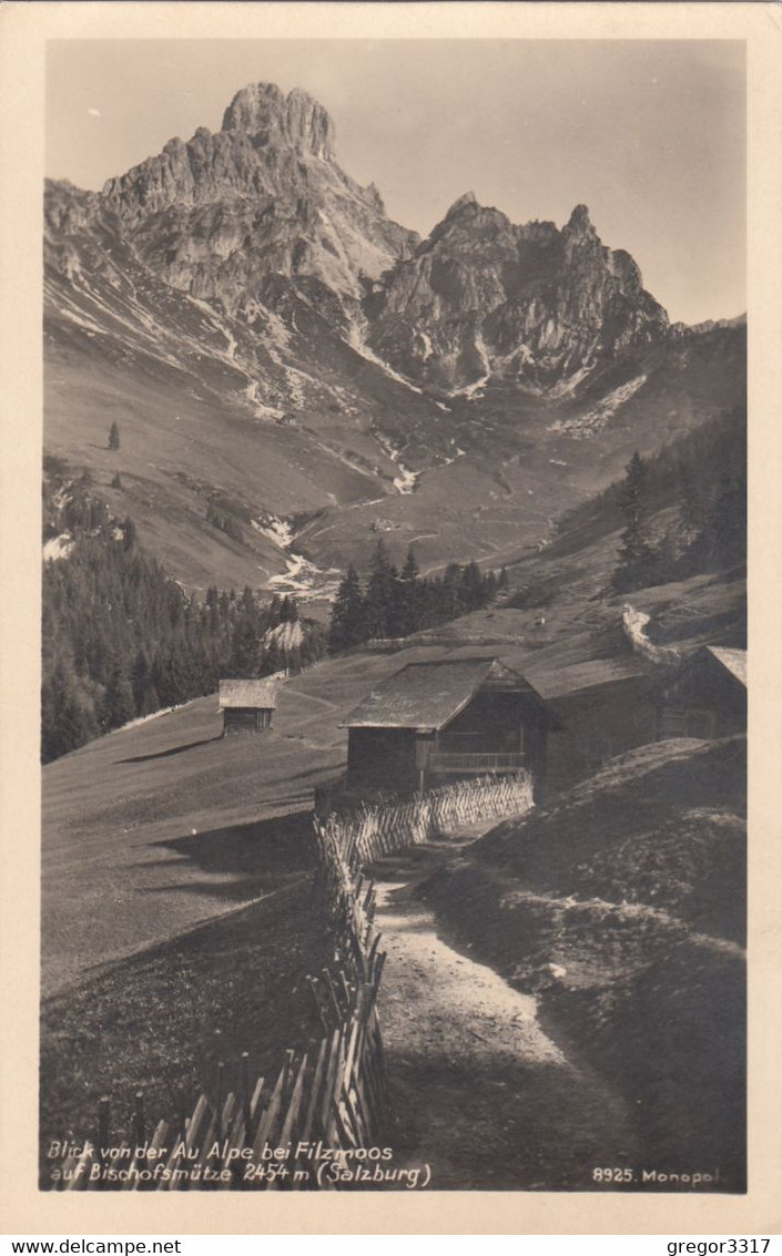 8605) Blick Von Der AU ALPE Bei FILZMOOS Auf Bischofsmütze - Salzburg - HÜTTE Weg ALT !! 1932 - Filzmoos