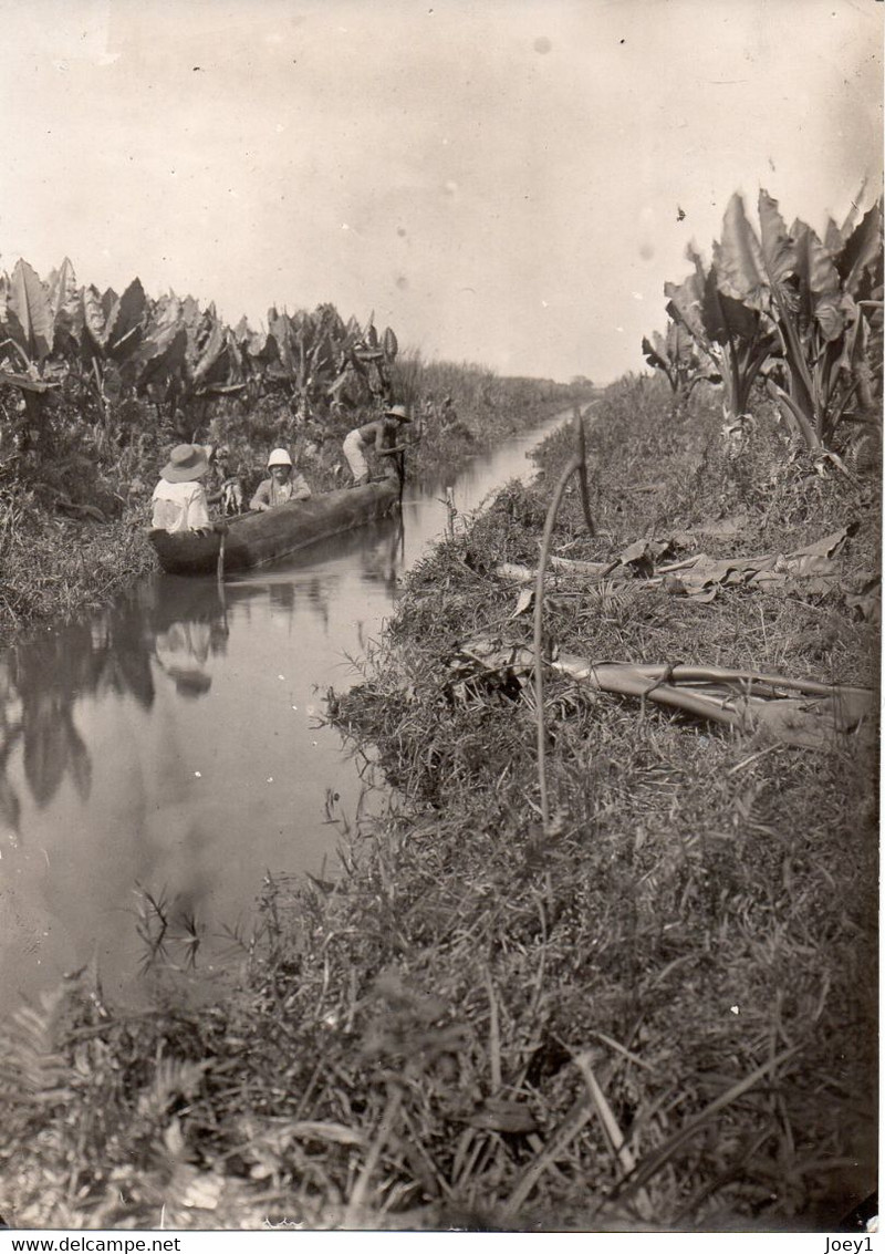 Photo Madagascar, Canaux Sur La Cote Est, Format 12/18 - Africa