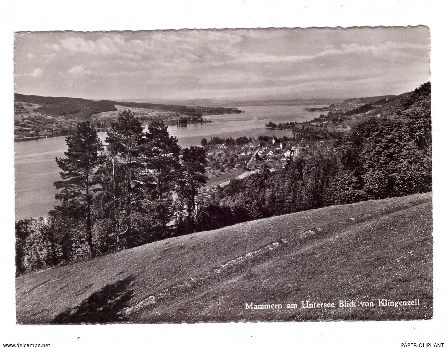 CH 8265 MAMMERN TH, Blick Von Klingenzell, 1953 - Mammern