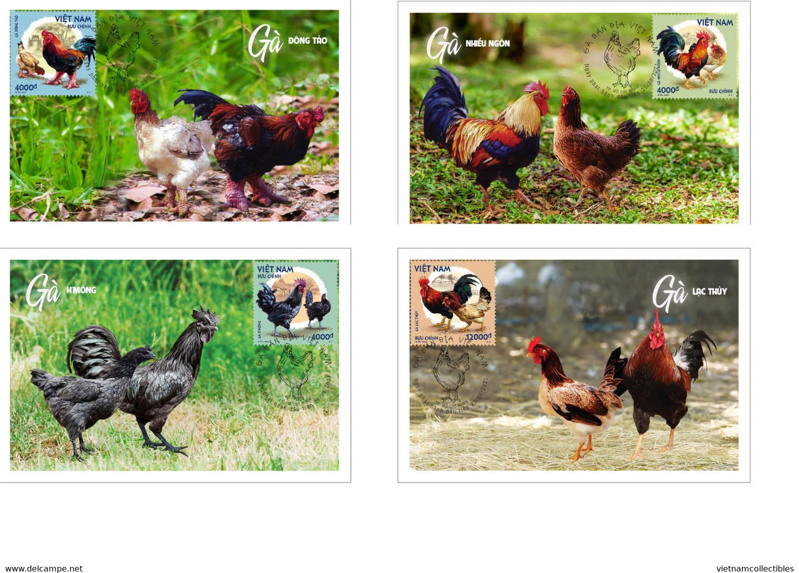 Viet Nam Vietnam Maxi Maxicards Issued On Aug 25, 2021 : Chicken / Rooster / Cock (Ms1146) - Vietnam