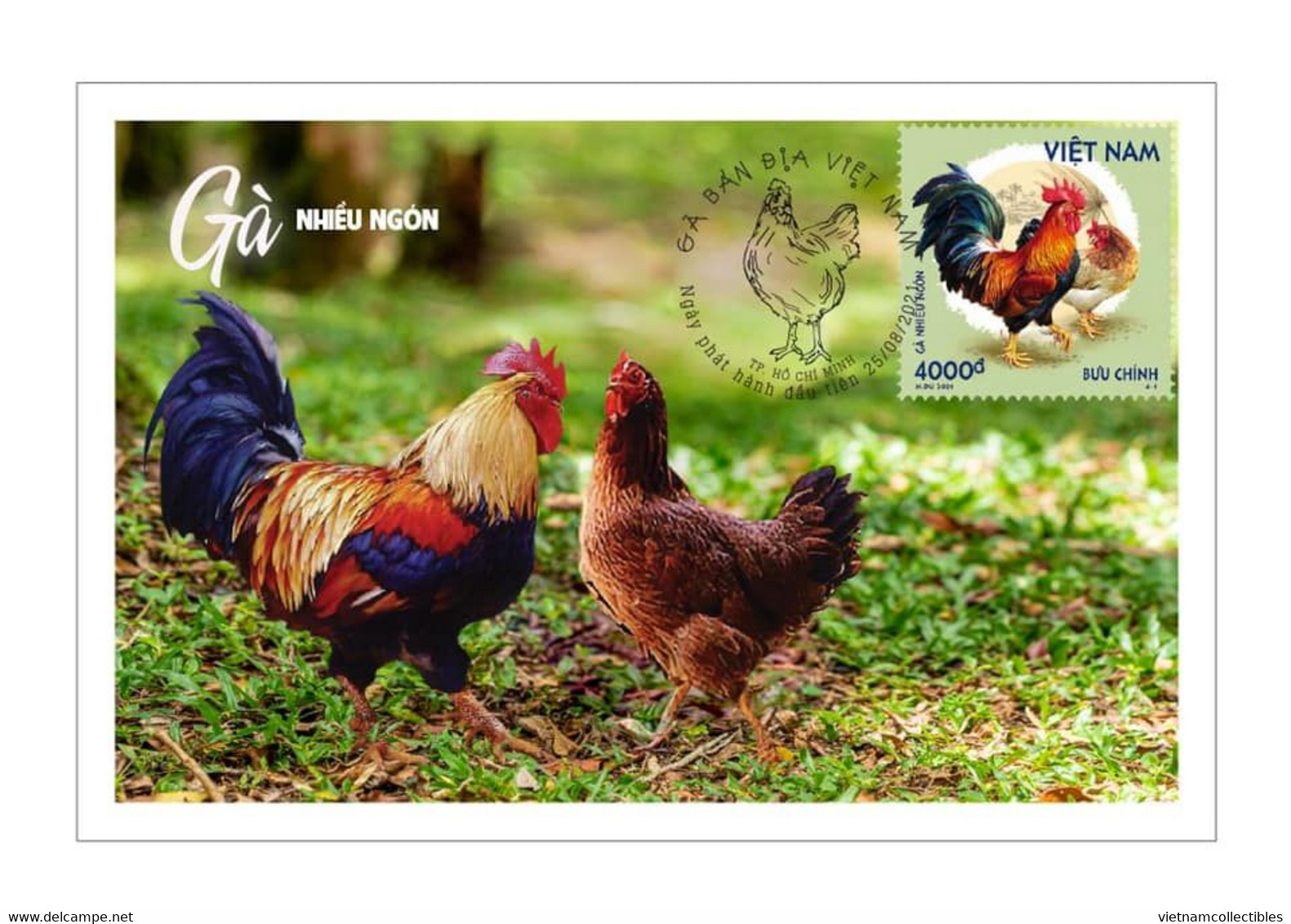 Viet Nam Vietnam Maxi Maxicards Issued On Aug 25, 2021 : Chicken / Rooster / Cock (Ms1146) - Vietnam