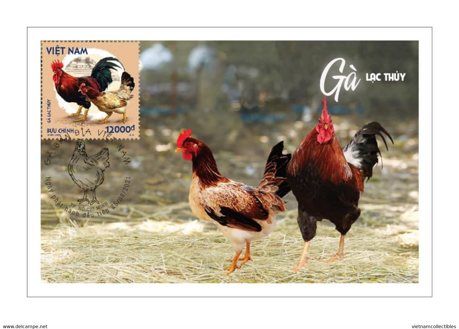 Viet Nam Vietnam Maxi Maxicards Issued On Aug 25, 2021 : Chicken / Rooster / Cock (Ms1146) - Vietnam