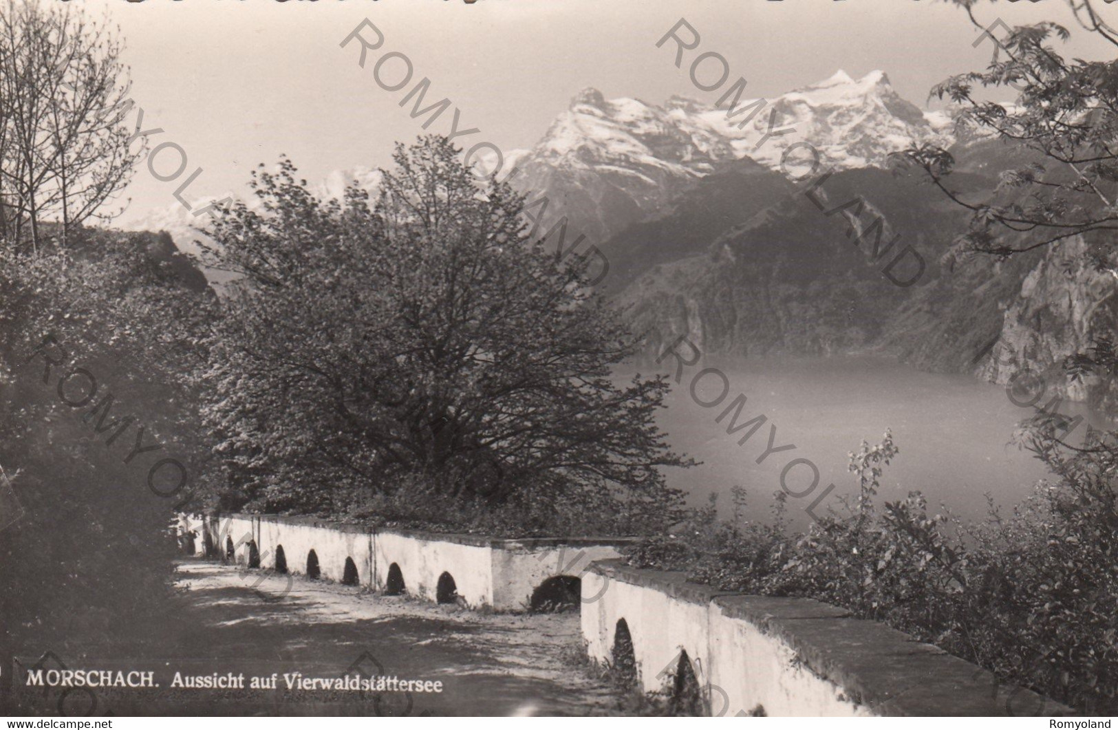 CARTOLINA  MORSCHACH,SCHWYZ,SVIZZERA,AUSSICHT AUF VIERWALDSTATTERSEE,NON VIAGGIATA - Morschach