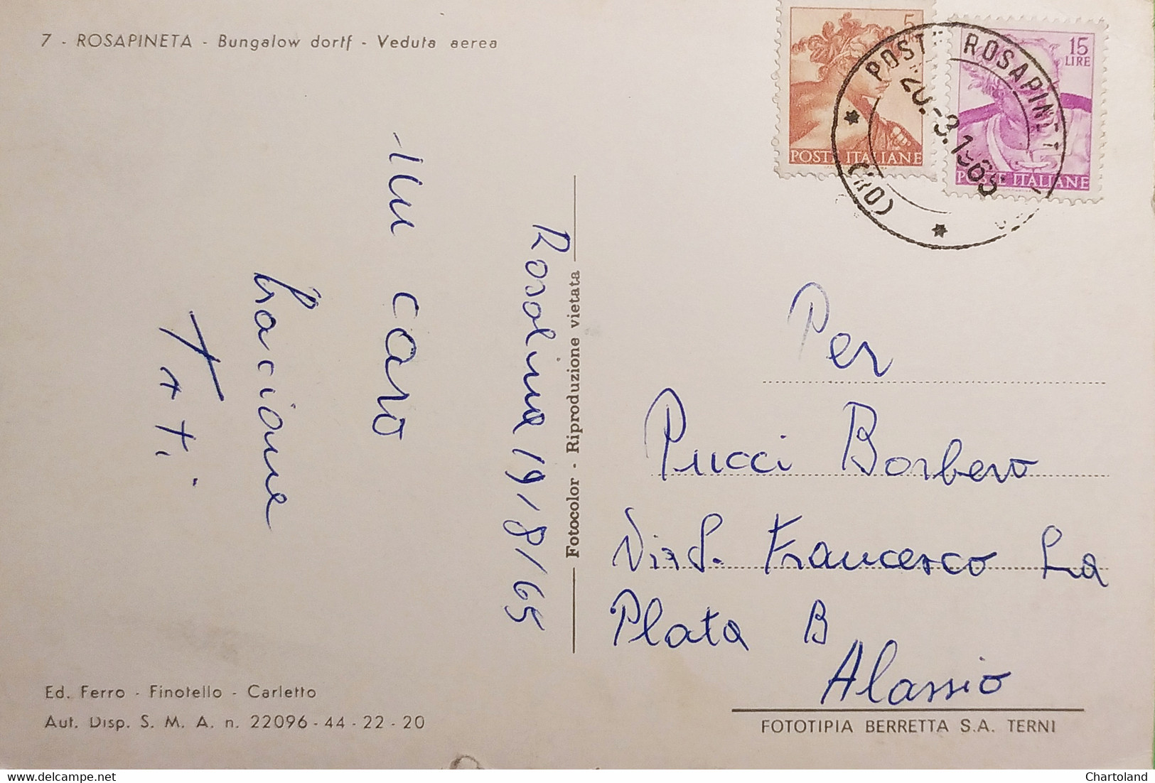 Cartolina - Rosapineta - Bungalow Dorif - Veduta Aerea - 1965 - Rovigo