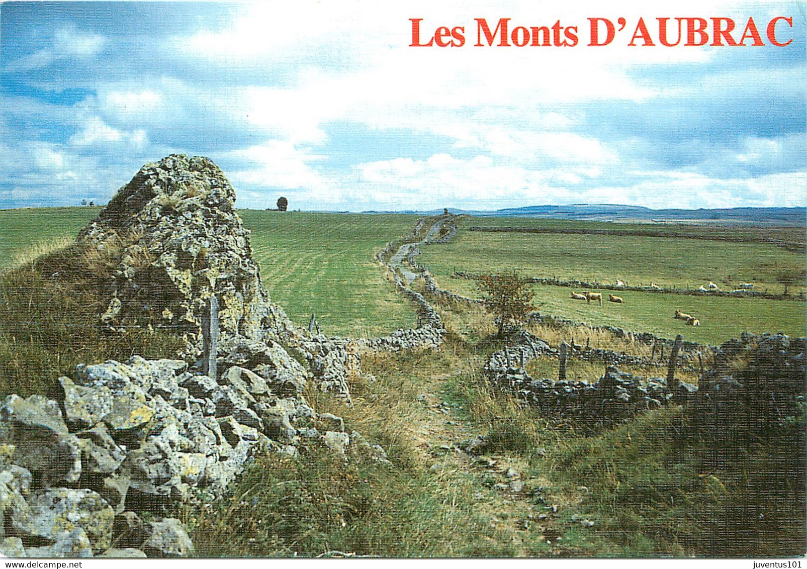 CPSM Les Monts D'Aubrac-Beau Timbre    L863 - Otros & Sin Clasificación