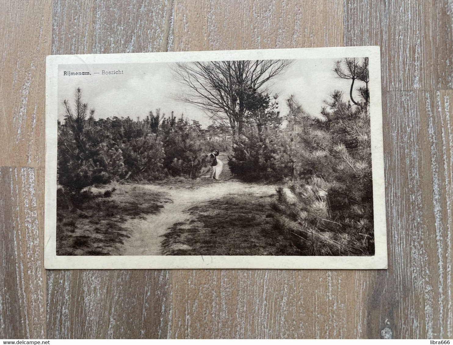 RIJMENAM - Boszicht / Uitg. Maria De Winter / Kunstfotographie E. Beernaert - Lokeren - Bonheiden