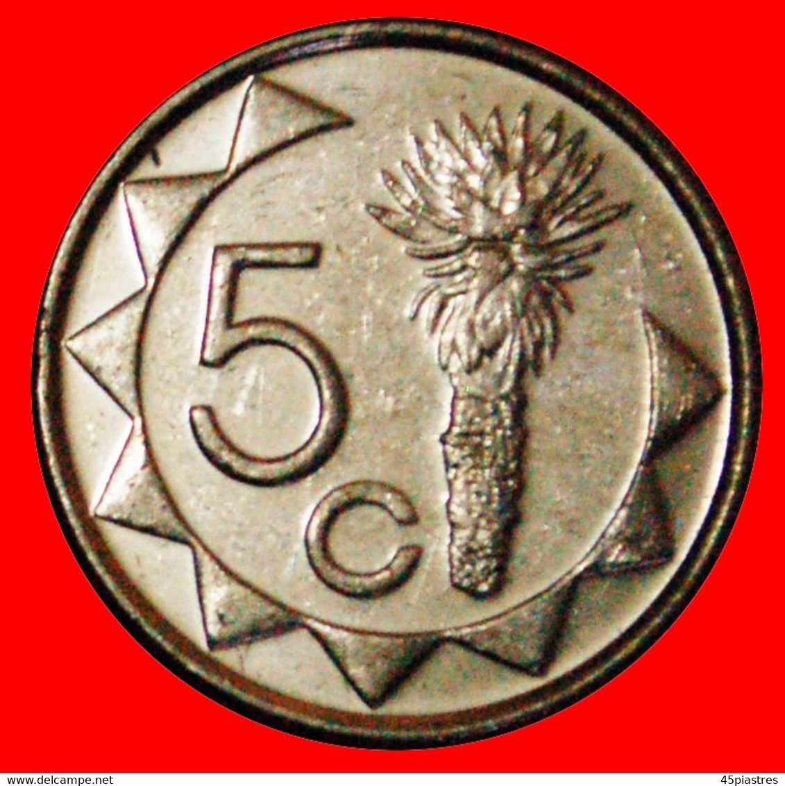 * SOUTH AFRICA (1993-2015): NAMIBIA ★ 5 CENTS 2009 MINT LUSTER DISCOVERY COIN! LOW START ★ NO RESERVE! - Namibia