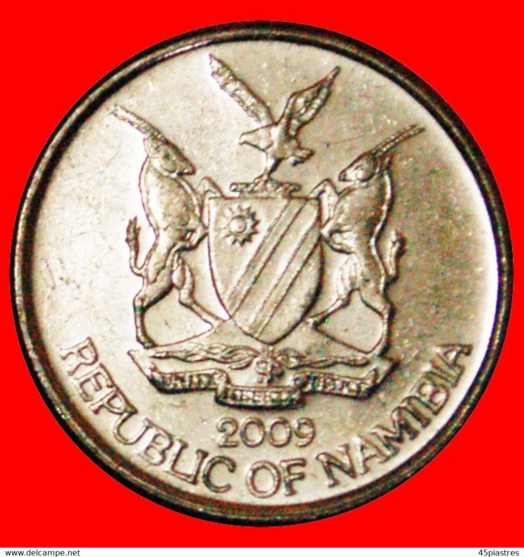 * SOUTH AFRICA (1993-2015): NAMIBIA ★ 5 CENTS 2009 MINT LUSTER DISCOVERY COIN! LOW START ★ NO RESERVE! - Namibia