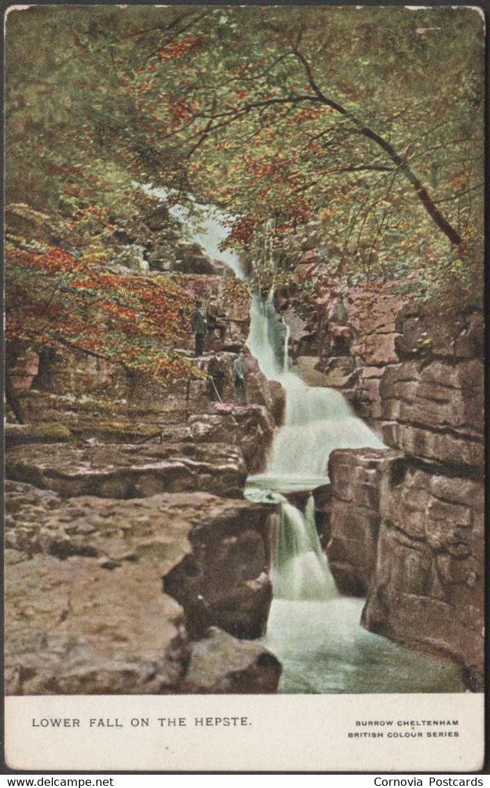 Lower Falls On The Hepste, Breconshire, 1904 - Burrow Postcard - Breconshire