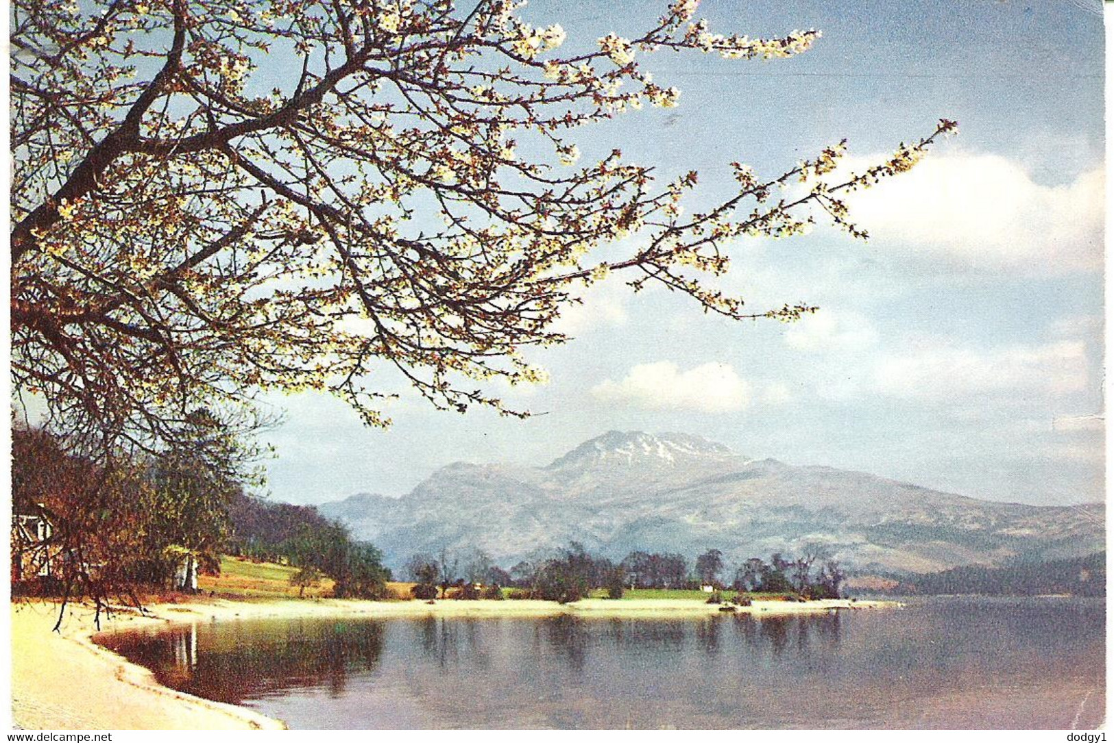 LOCH LOMOND AND BEN LOMOND, SCOTLAND. Circa 1956 USED POSTCARD Pv1 - Dunbartonshire