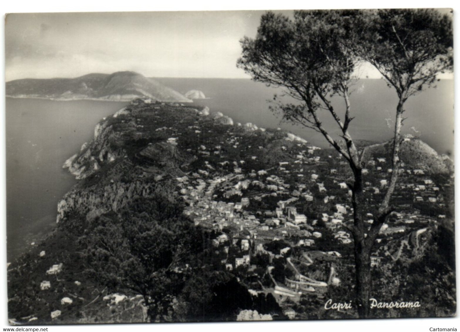 Capri - Panorama - Napoli (Neapel)