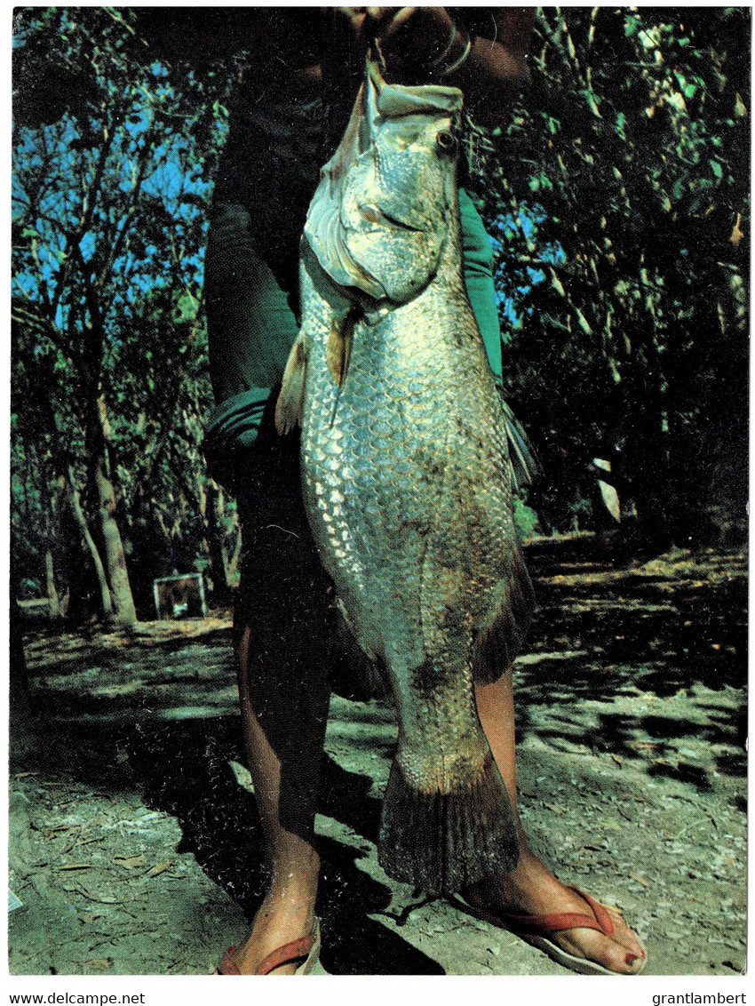 Barramundi, Northern Territory - Unused - Sin Clasificación