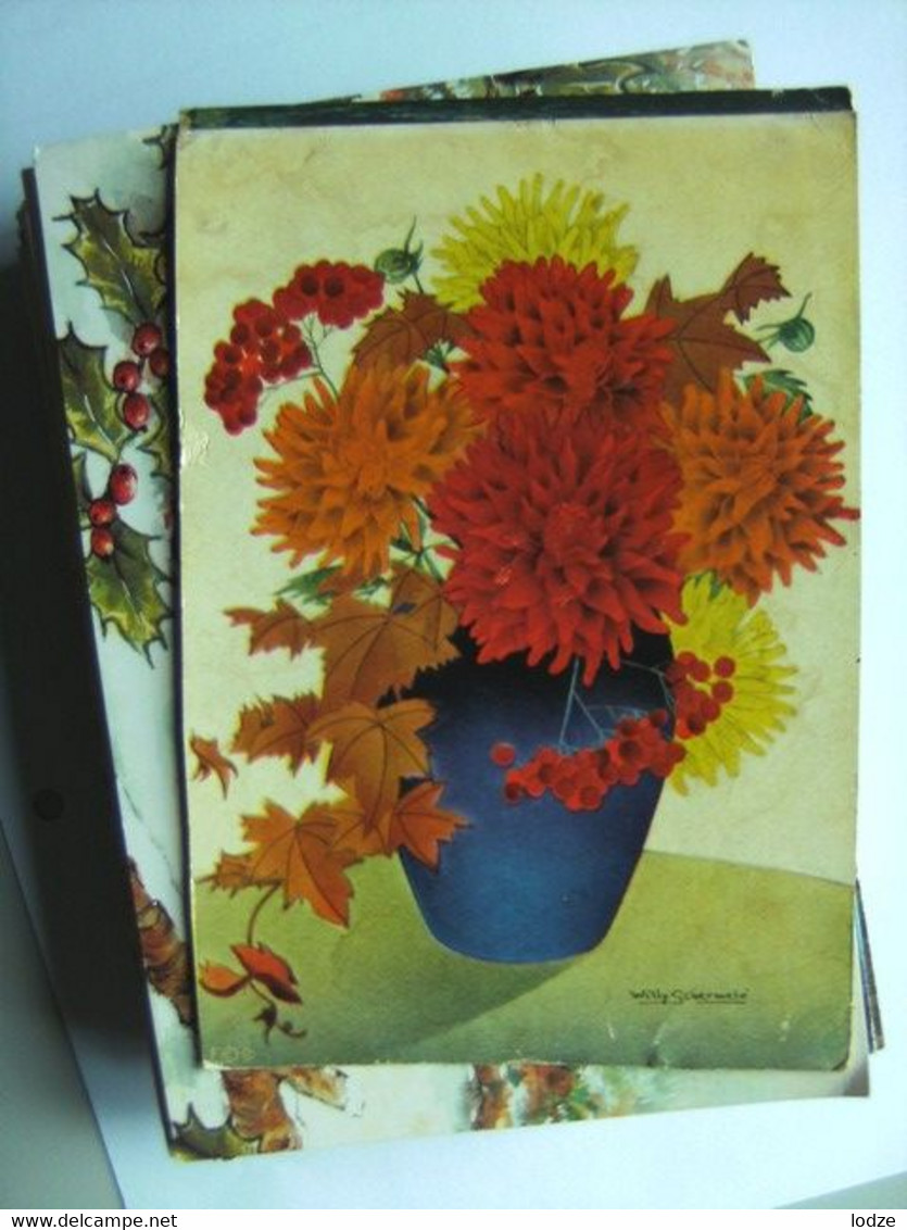 Willy Schermele Dahlias - Schermele, Willy