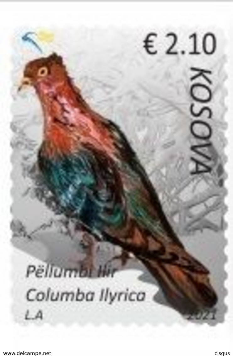 Kosovo MNH** 2021 Pigeon - Kosovo