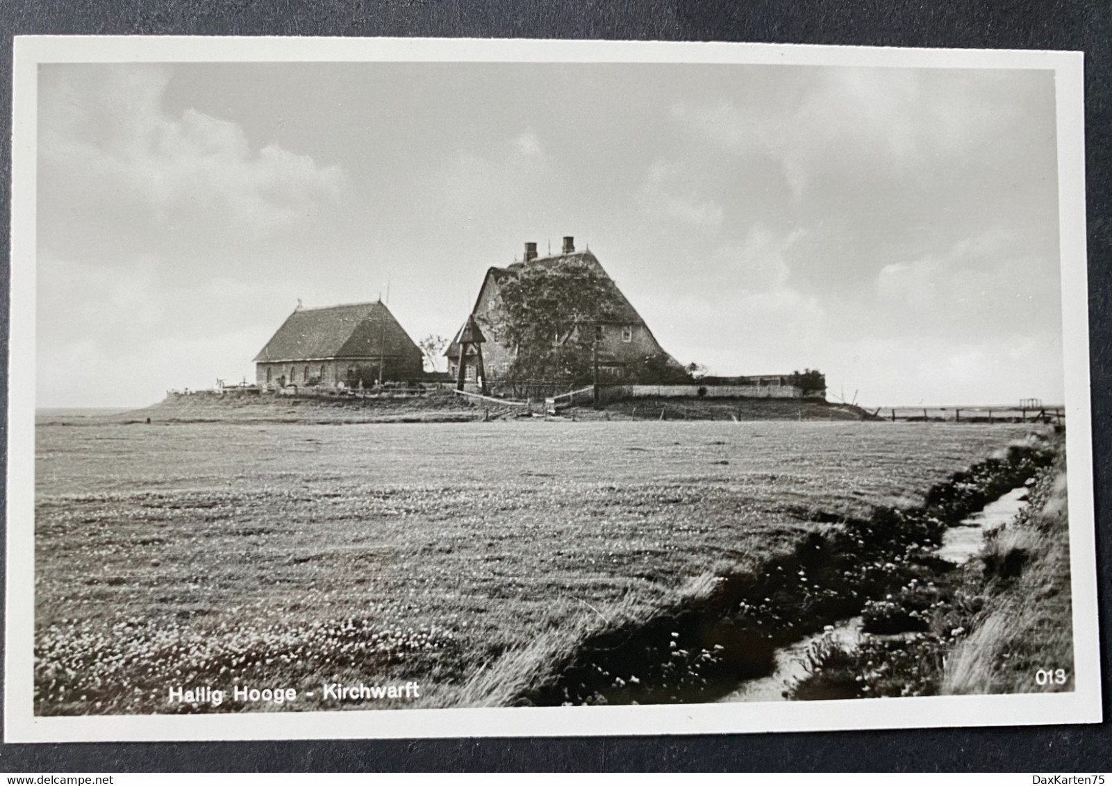 Hallig Hooge/ Kirchwarft - Nordfriesland