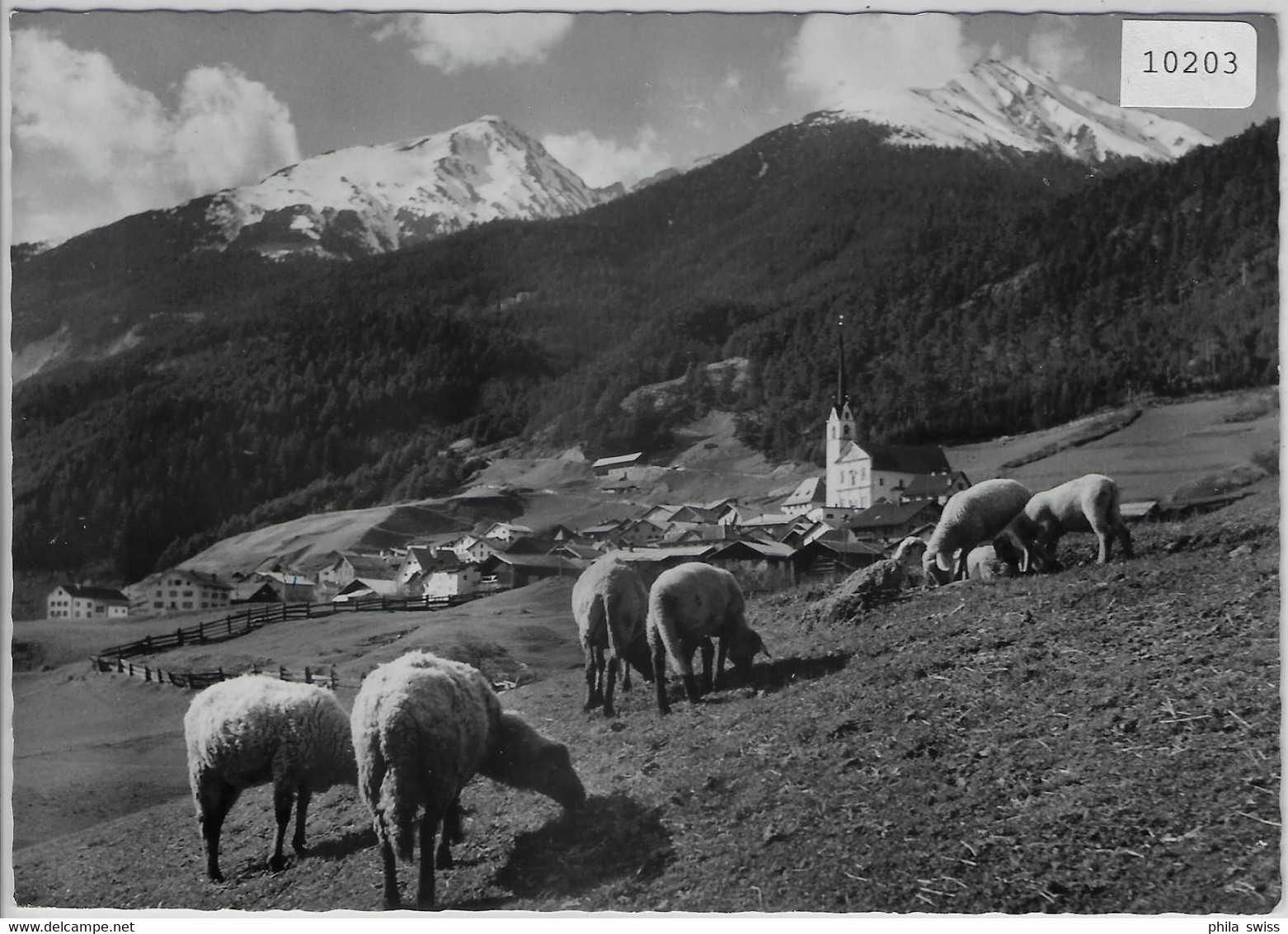 Alvaneu-Dorf Im Albulatal - Schafherde - Alvaneu