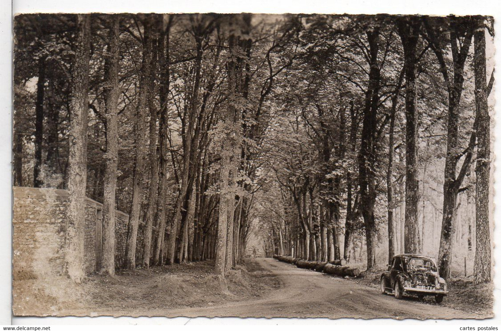 * Environs De SEPTEUIL - Rosay Avenue De Saint-Corentin - Septeuil