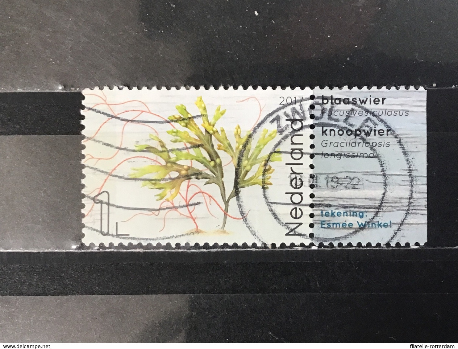 Nederland / The Netherlands - Leven In De Noordzee 2017 - Used Stamps