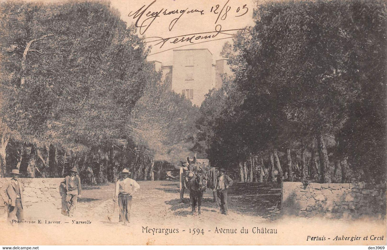 MEYRARGUES - Avenue Du Château - Attelage De Cheval, Ane, Mulet - Précurseur Voyagé 1903 - Meyrargues