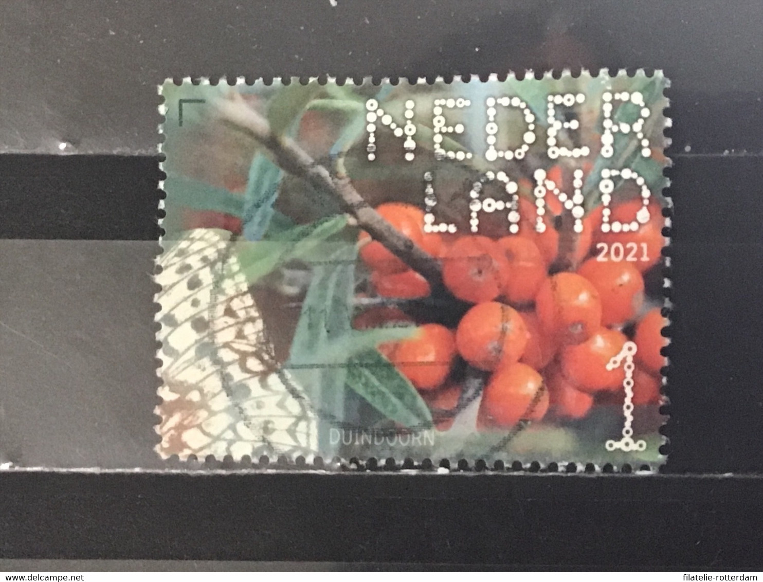 Nederland / The Netherlands - Duindoorn 2021 - Used Stamps