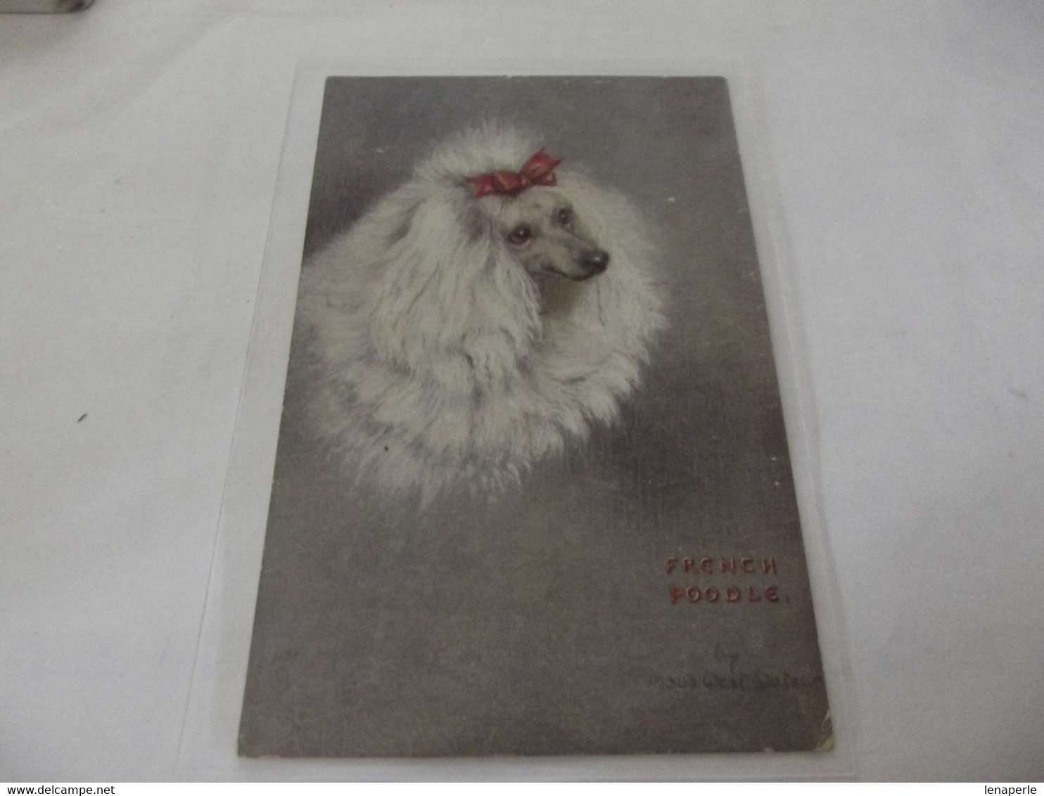 Carte Chien ,french Poodle "oilette" - Hunde