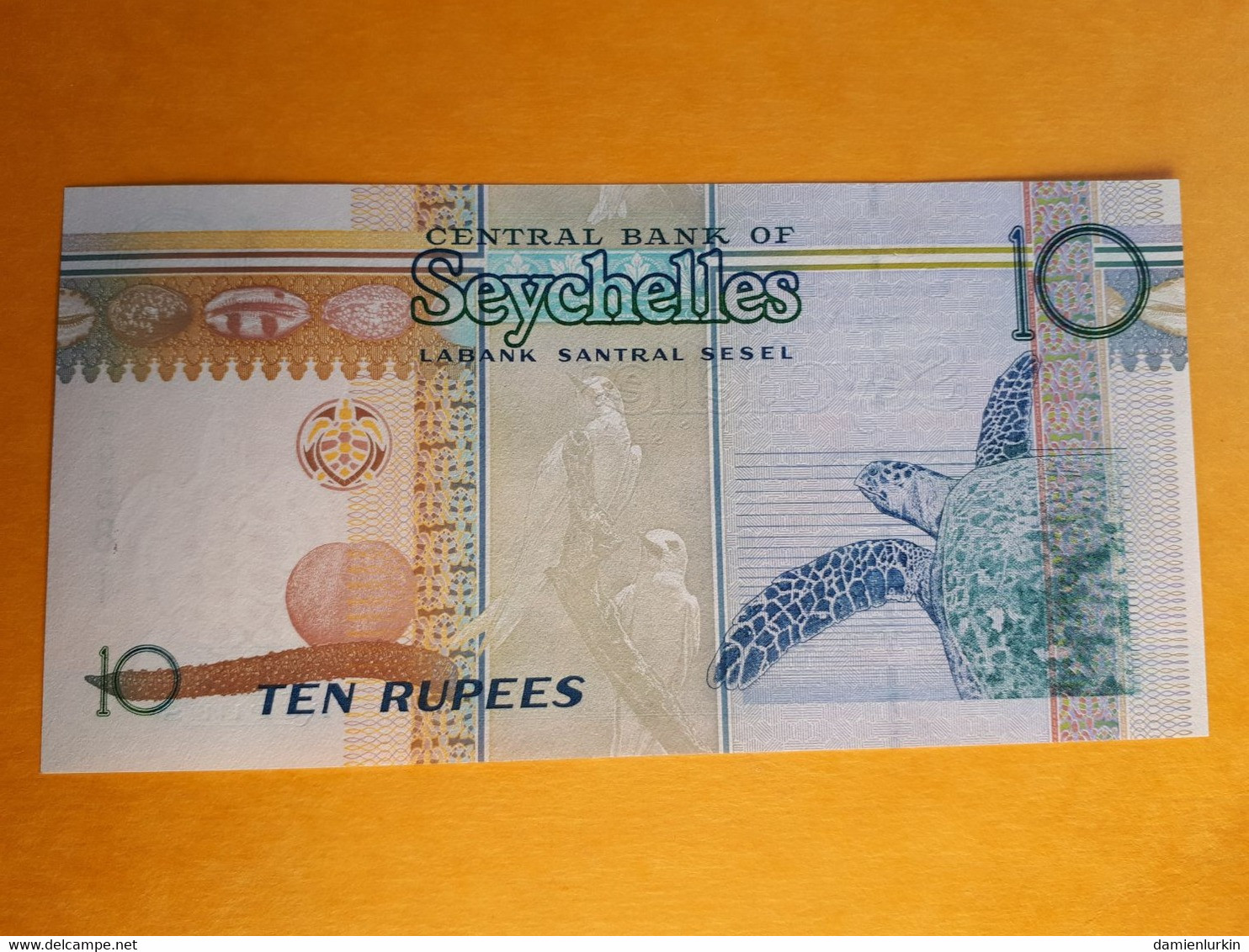 SEYCHELLES 10 RUPEES 1998 LENG UNC - Seychellen