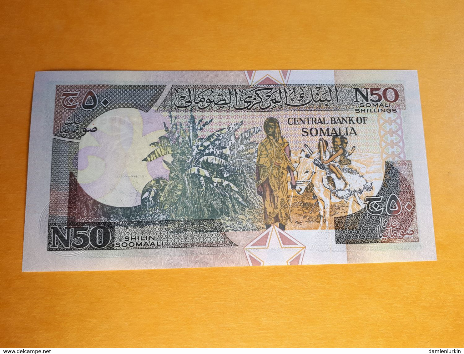 SOMALIE 50N SHILLINGS 1991 UNC - Somalia