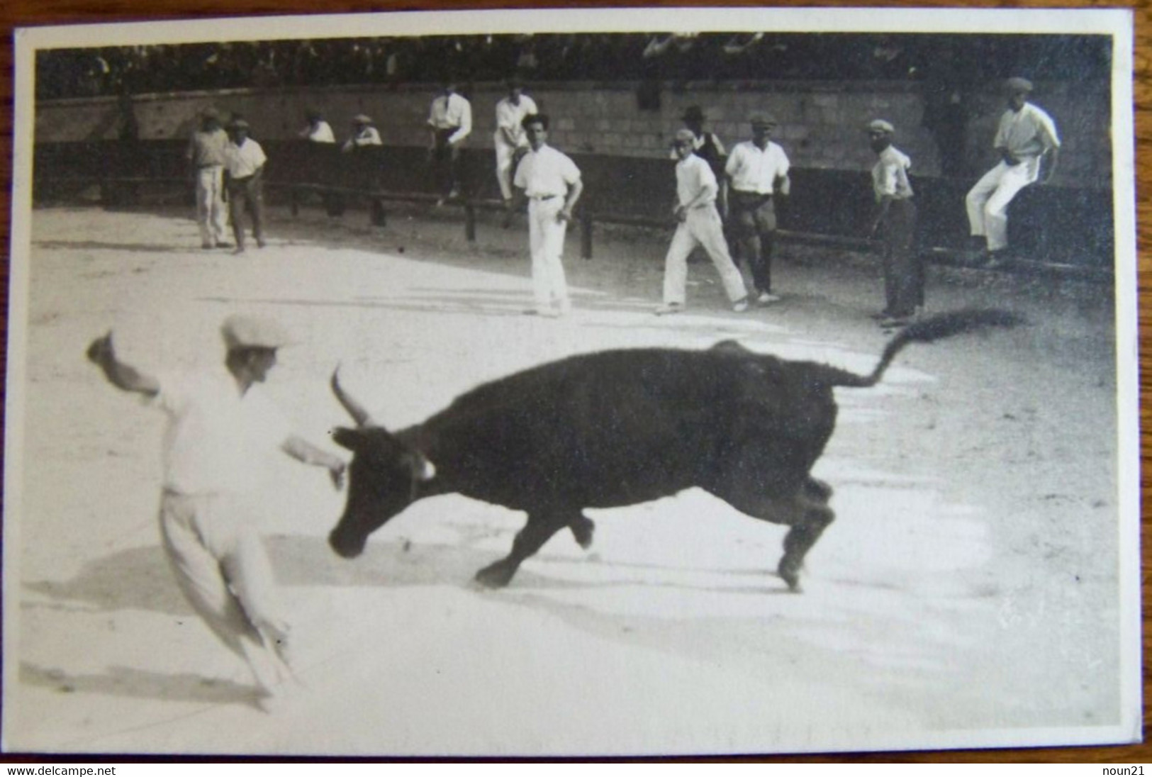 Tauromachie - Corrida - Courses De Taureaux - Provence-Alpes-Côte D'Azur