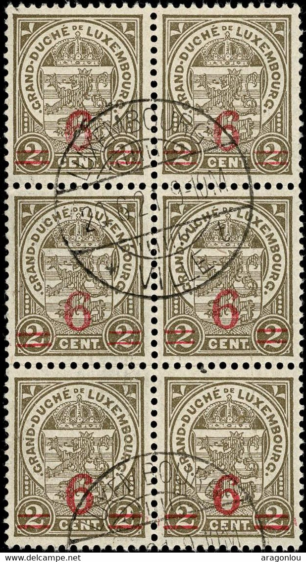 Luxembourg, Luxemburg 1915 Armoires, Bloc 6x 6/2c. Surcharge Oblitéré - 1907-24 Abzeichen