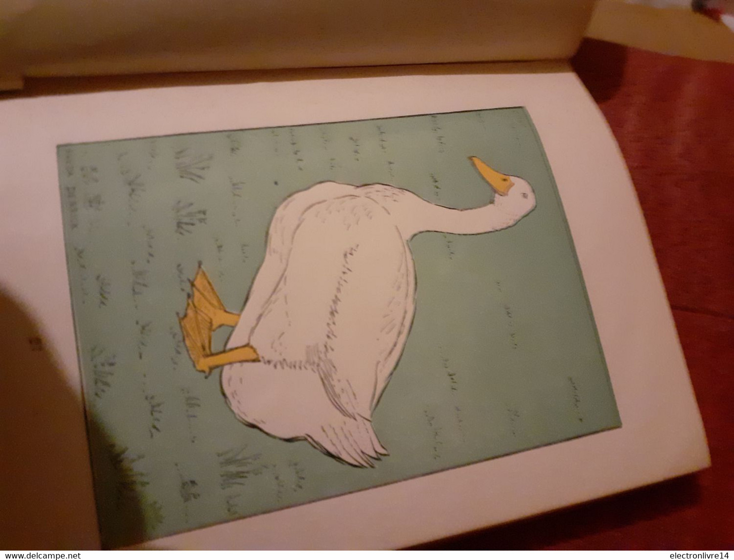 the little grey goose by felicite lefevre belles illustrations couleurs  95 pages 15x20 cm