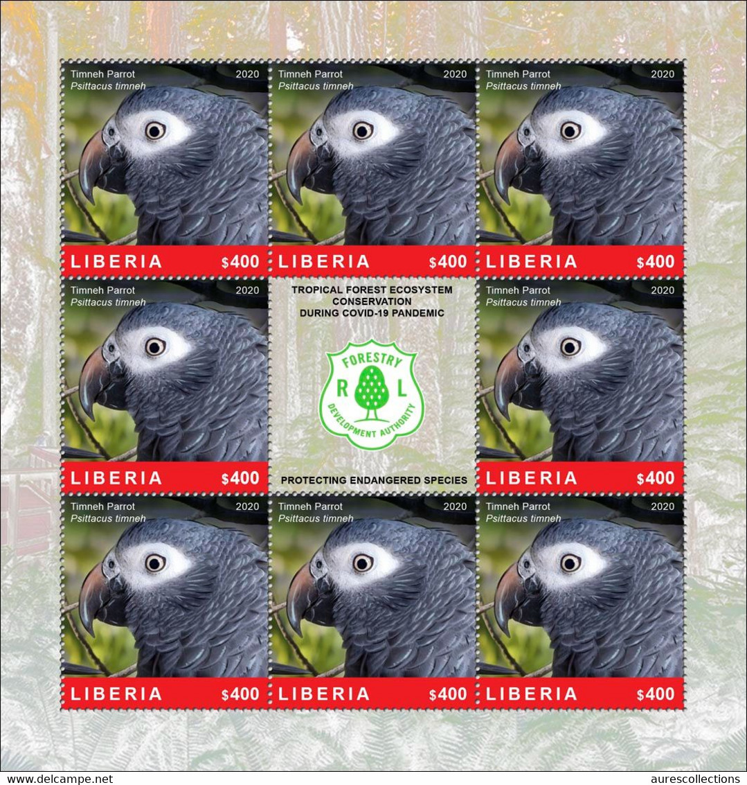 LIBERIA 2020 SHEETLET 8v - BIRDS PARROTS PARROT PERROQUET PERROQUETS - FOREST CONSERVATION DURING COVID-19 PANDEMIC MNH - Papageien