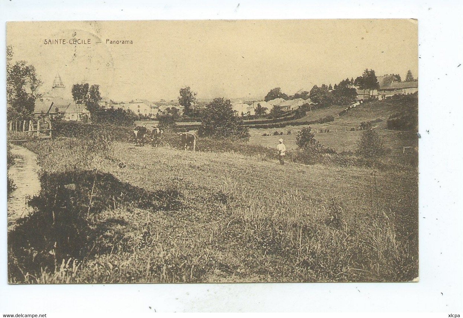 Sainte Cécile Panorama - Chassepierre