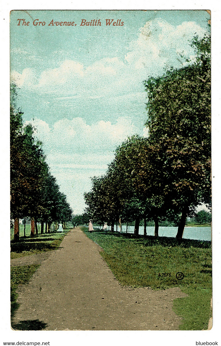 Ref 1495 - 1911 Postcard - The Gro Avenue - Builth Wells Breconshire Wales - Breconshire