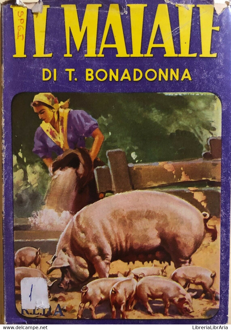 Il Maiale Ed I Nuovi Indirizzi Dell'allevamento Di T.Bonadonna, 1960, Reda - Natur