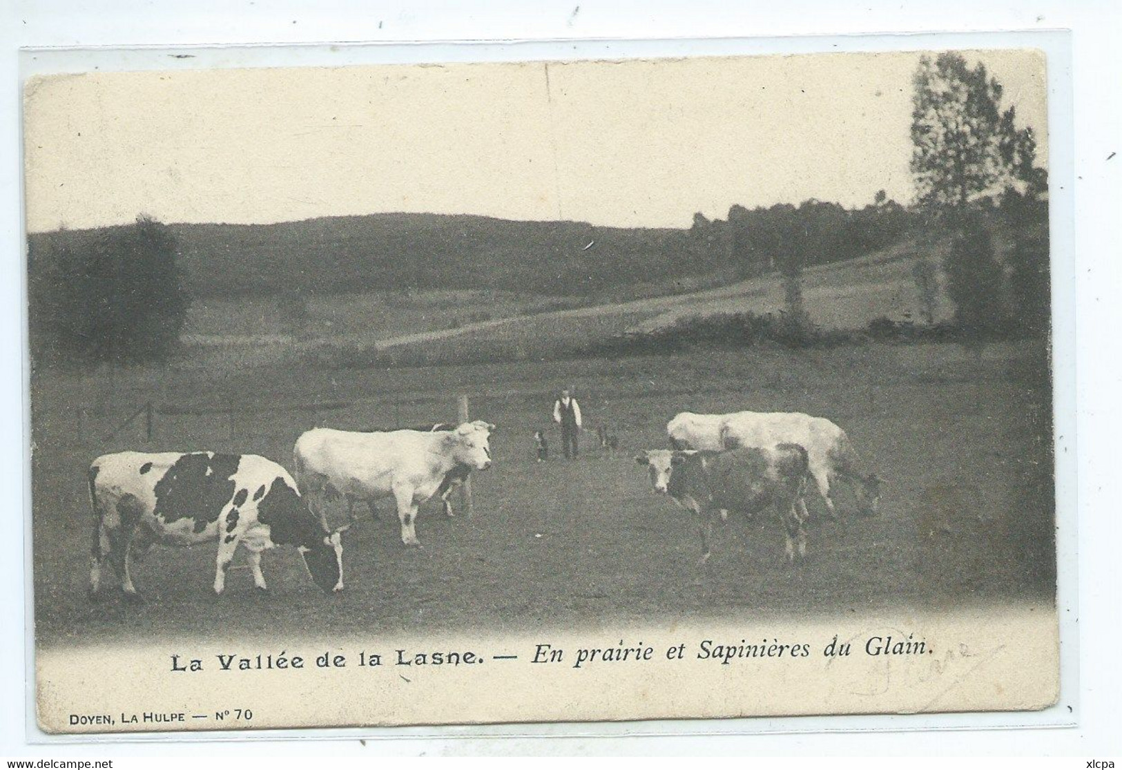 La Vallée De La Lasne - En Prairie Et Sapinières Du Glain La Hulpe - La Hulpe