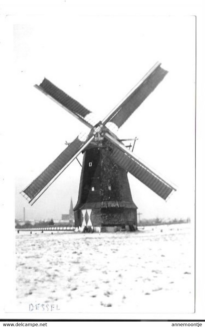 Dessel - Molen. - Dessel