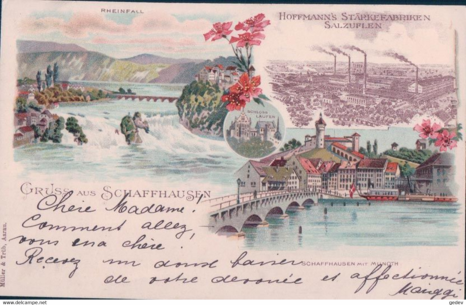 Gruss Aus Schaffhausen, Publicité Hoffmann's Stärkefabriken Salzuflen, Litho (14.1.1899) - Schleitheim