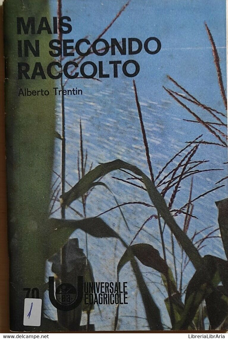 Mais In Secondo Raccolto Di Alberto Trentin, 1971, Universale Edagricole - Natur