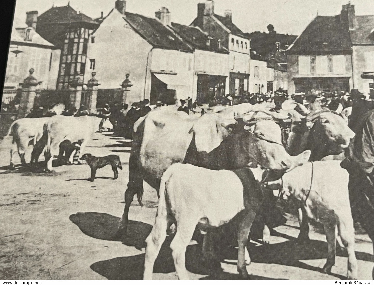 Cpa  Château Chinon, Le Champ de Foire, Market place Edition Cecodi d’après 1900 Qualité