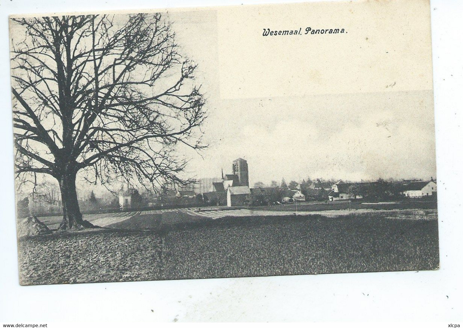 Wesemaal Panorama - Rotselaar