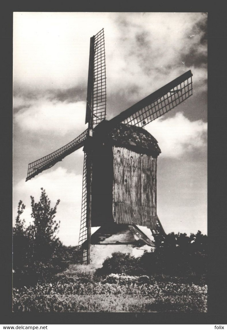 Knesselare - Pieten Dries-Molen - Foto Kaart - Mill / Moulin - Knesselare