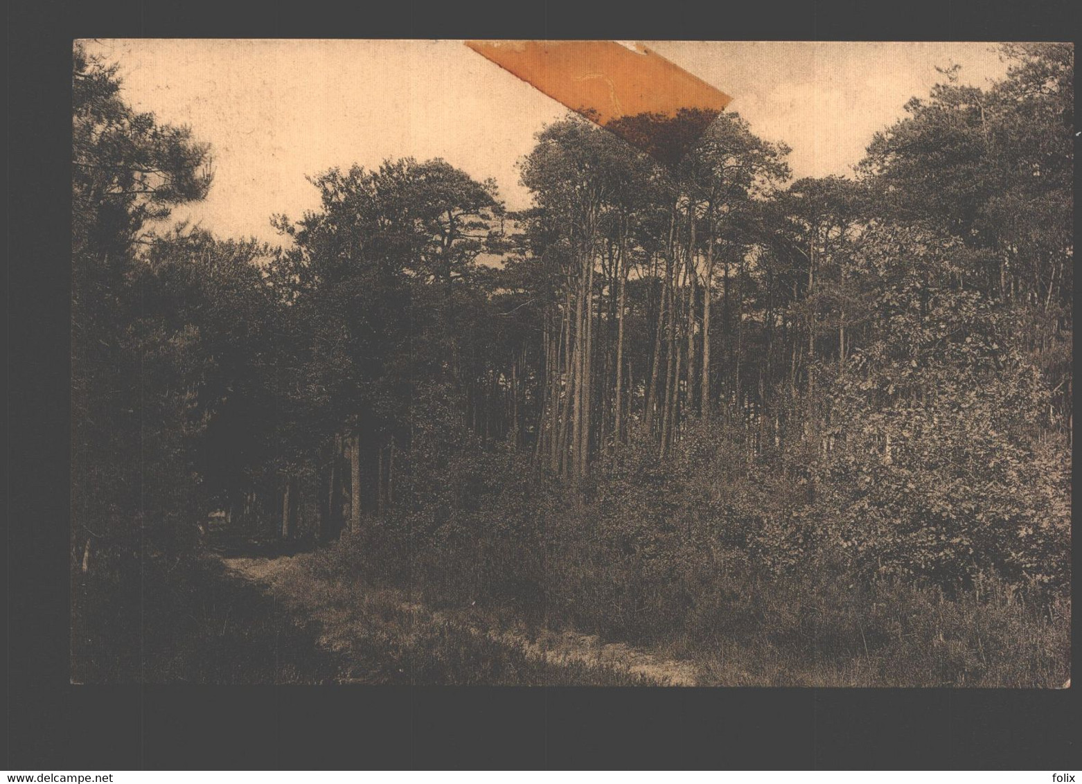 Korsendonk - In Het Kraaienbosch Te Korsendonk - Kasterlee